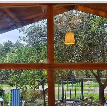 דירות מצפה הילה בקתת מטיילים מראה חיצוני תמונה