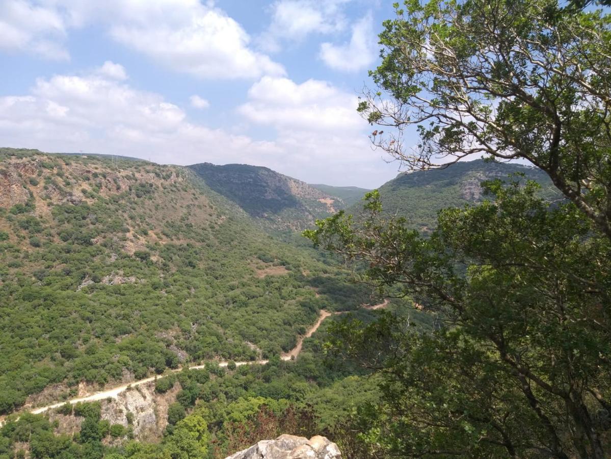 דירות מצפה הילה בקתת מטיילים מראה חיצוני תמונה