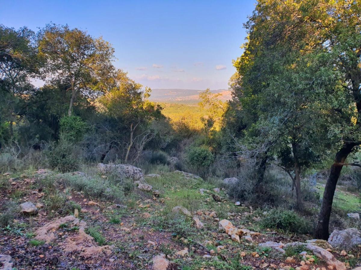 דירות מצפה הילה בקתת מטיילים מראה חיצוני תמונה