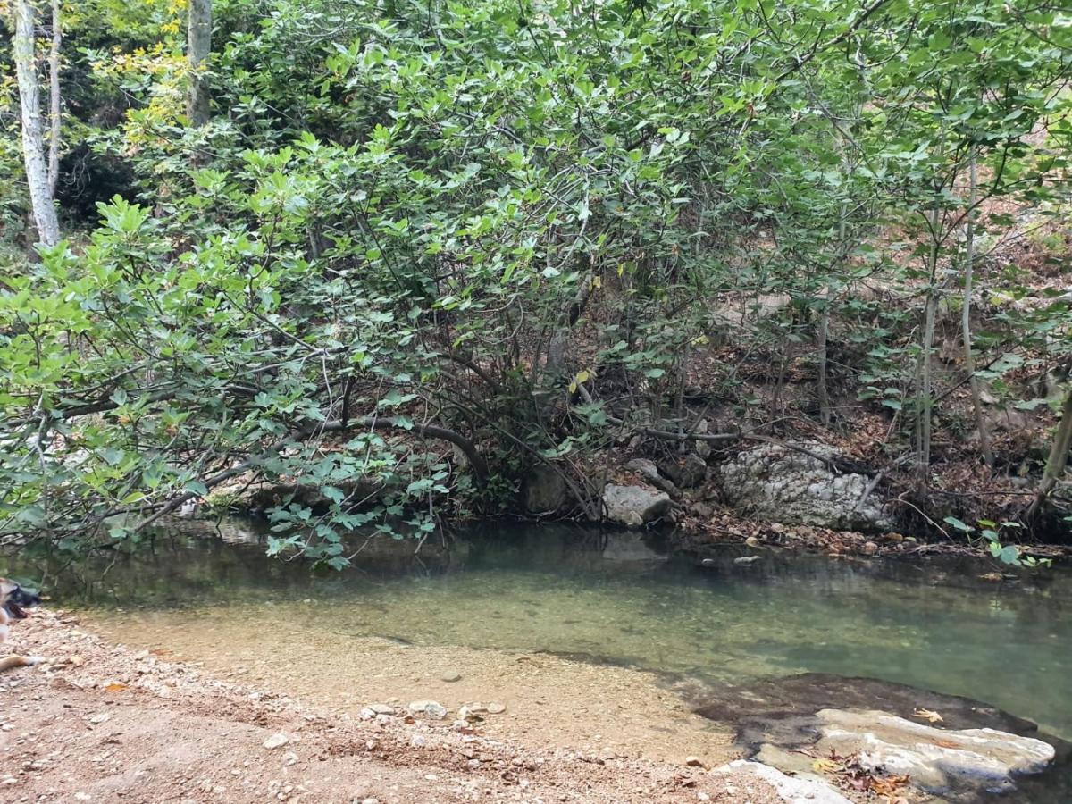 דירות מצפה הילה בקתת מטיילים מראה חיצוני תמונה