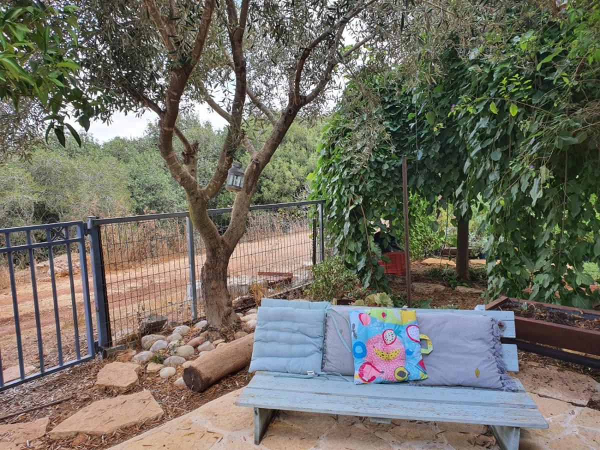 דירות מצפה הילה בקתת מטיילים מראה חיצוני תמונה