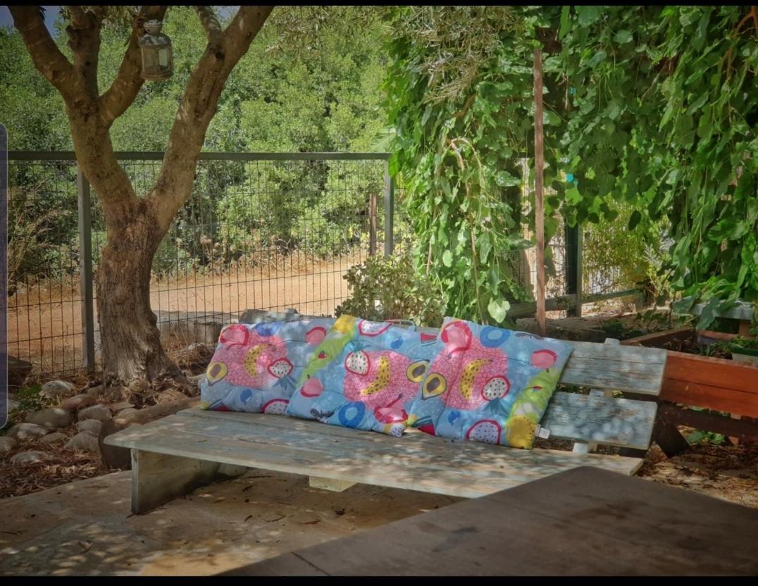 דירות מצפה הילה בקתת מטיילים מראה חיצוני תמונה